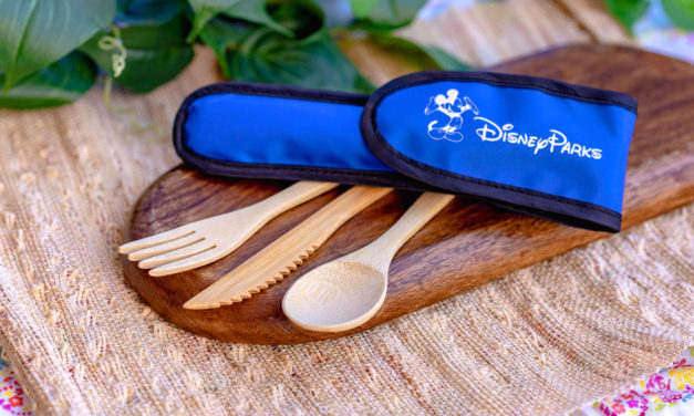 Reusable Wooden Utensils Coming To Disney Parks