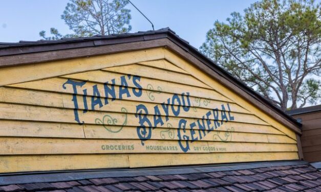 16 Unique and Never-Before-Seen Tiana’s Bayou Adventure Photos 